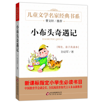 小布头奇遇记/曹文轩推荐儿童文学经典书系