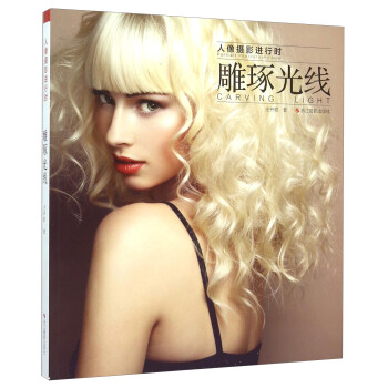 雕琢光线 [Portrait Photography Now： Carving Light] pdf epub mobi 电子书 下载