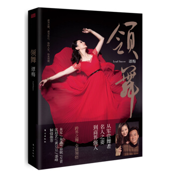 领舞 pdf epub mobi 电子书 下载