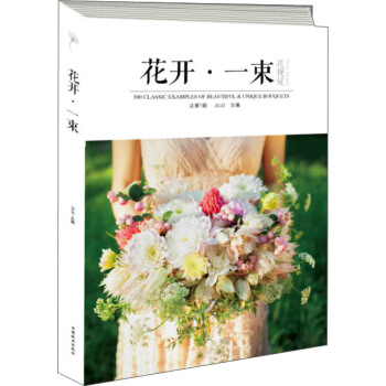 花视觉：花开·一束 pdf epub mobi 下载