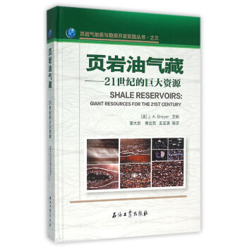 页岩油气藏