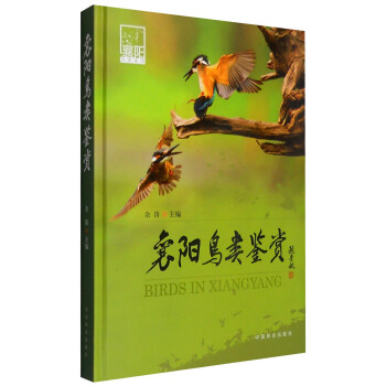 襄陽鳥類鑒賞 [Birds in Xiangyang] pdf epub mobi 下载
