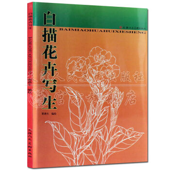 白描画谱：白描花卉写生 pdf epub mobi 下载
