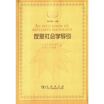 反思社会学导引/社会学名著译丛 pdf epub mobi 下载