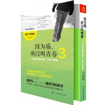 因為痛，所以叫青春3：寫給討厭朝九晚五、不想工作的你 pdf epub mobi 下载