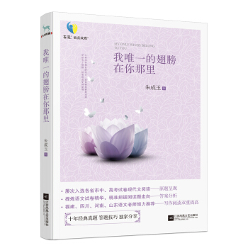 我唯一的翅膀在你那里 pdf epub mobi 电子书 下载