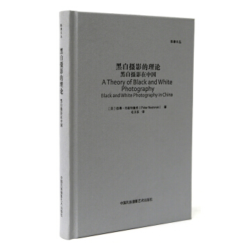 黑白攝影的理論：黑白攝影在中國/影像文叢係列 pdf epub mobi 下载