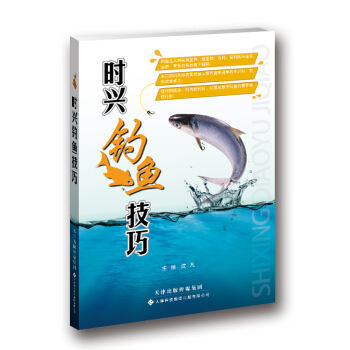 時興釣魚技巧 pdf epub mobi 下载