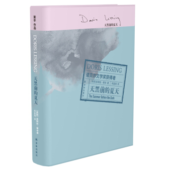 天黑前的夏天 [The Summer Before the Dark] pdf epub mobi 下载