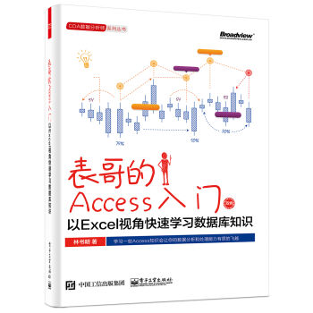 表哥的Access入门：以Excel视角快速学习数据库知识 pdf epub mobi 电子书 下载