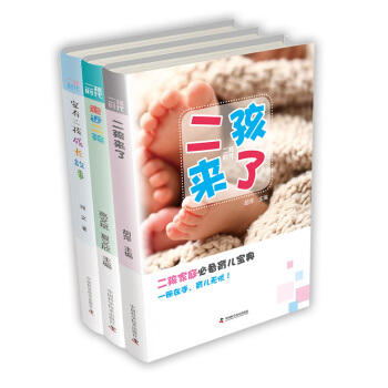 二孩时代（套装共3册） pdf epub mobi 下载