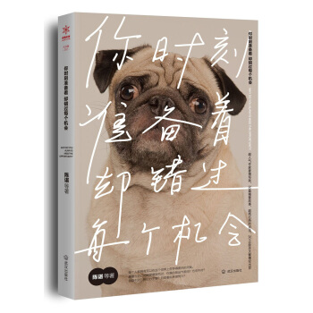 你时刻准备着，却错过每个机会 pdf epub mobi 电子书 下载