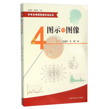 中学生物理思维方法丛书4:图示与图像