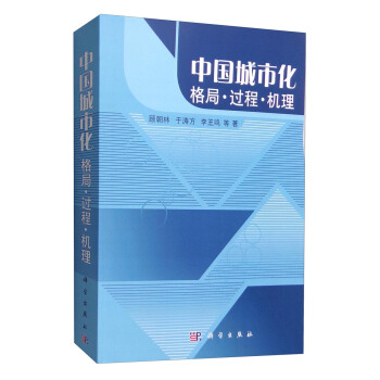 中國城市化格局·過程·機理