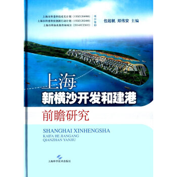 上海城市發展新空間和深水新港戰略研究 pdf epub mobi 下载