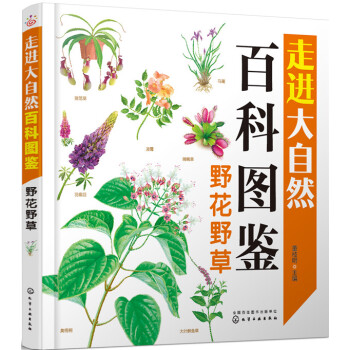 野花野草 [中小学生] pdf epub mobi 下载