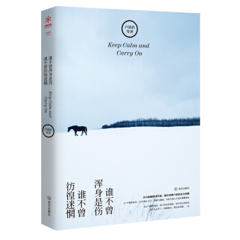 谁不曾浑身是伤，谁不曾彷徨迷惘 pdf epub mobi 电子书 下载