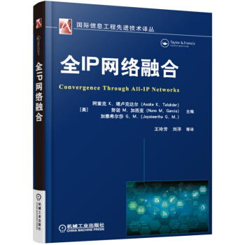 全IP网络融合 pdf epub mobi 下载