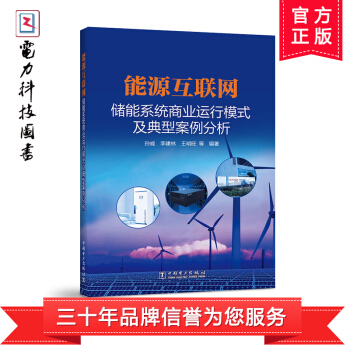 能源互聯網：儲能係統商業運行模式及典型案例分析 pdf epub mobi 電子書 下載