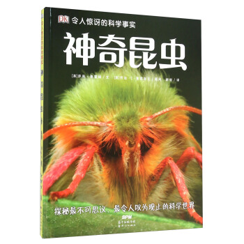 神奇昆虫