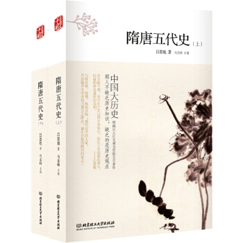 中国大历史：隋唐五代史（套装上下册） pdf epub mobi 下载