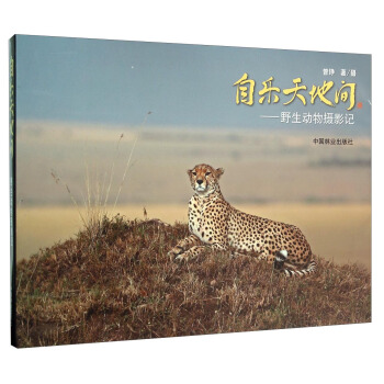 自乐天地间：野生动物摄影记 pdf epub mobi 下载
