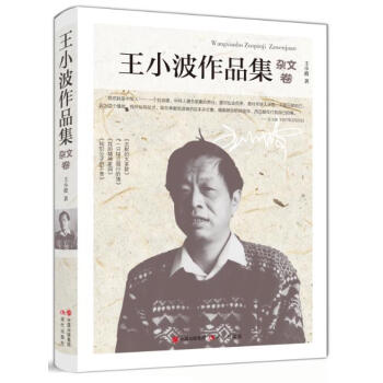 王小波作品集.杂文卷 pdf epub mobi 电子书 下载