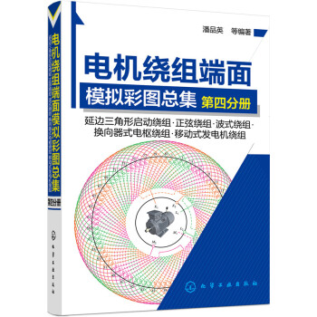电机绕组端面模拟彩图总集.第四分册
