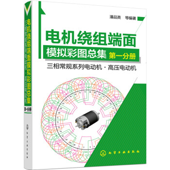 电机绕组端面模拟彩图总集·第一分册