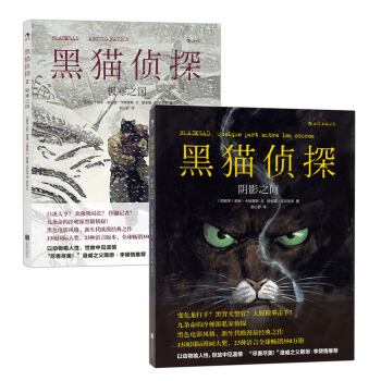 黑猫侦探：阴影之间+极寒之国（套装共2册） pdf epub mobi 电子书 下载