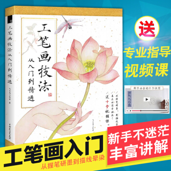 飛樂鳥 工筆畫技法從入門到精通 工筆畫教程書 國畫初學者入門教材 自學工筆畫 pdf epub mobi 下载