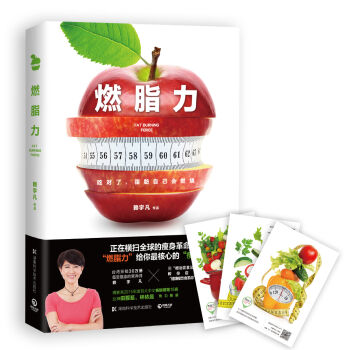 燃脂力 pdf epub mobi 下载