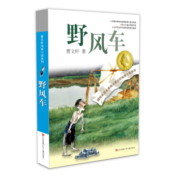 曹文轩纯美小说：野风车（2016版） [7-14岁] pdf epub mobi 下载