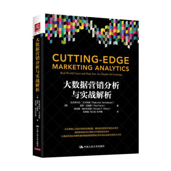 大数据营销分析与实战解析 pdf epub mobi 下载