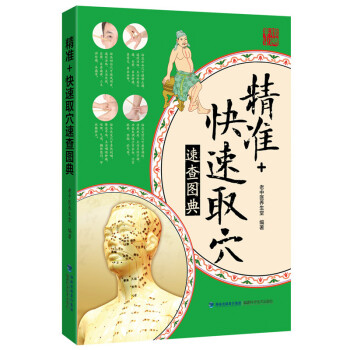 精准+快速取穴速查图典 pdf epub mobi 下载