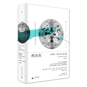 鰐魚街: 布魯諾·舒爾茨小說全集 pdf epub mobi 電子書 下載