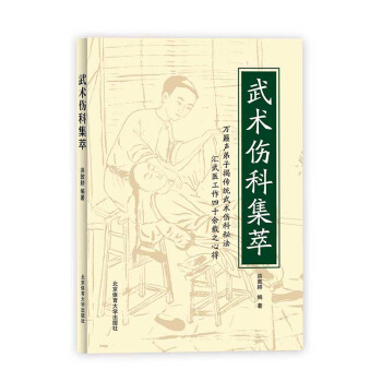 武術傷科集萃 pdf epub mobi 下载