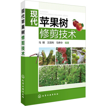 现代苹果树修剪技术