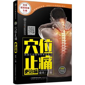 穴位止痛更治痛 pdf epub mobi 下载