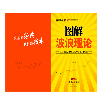 圖解波浪理論 pdf epub mobi 電子書 下載