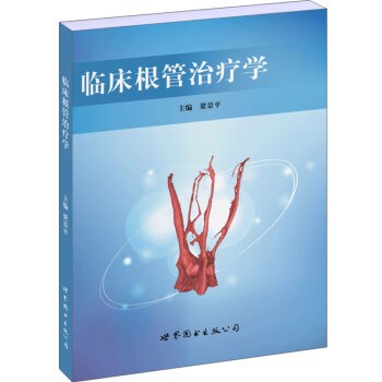 临床根管治疗学 pdf epub mobi 下载