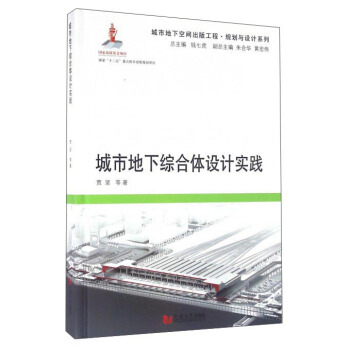 城市地下綜閤體設計實踐 pdf epub mobi 電子書 下載