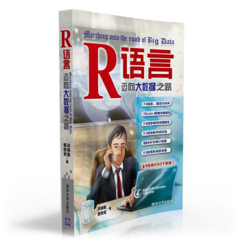 R语言——迈向大数据之路 pdf epub mobi 下载