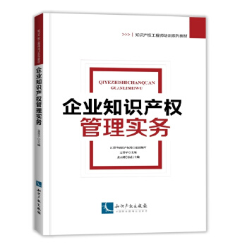 企业知识产权管理实务 pdf epub mobi 下载