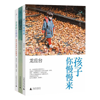 龙应台人生三书：亲爱的安德烈+目送+孩子你慢慢来（共3册）野火集后亲情散文 现当代文学小说 pdf epub mobi 下载