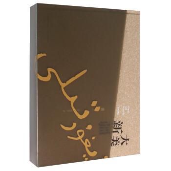 大美新疆 pdf epub mobi 下载