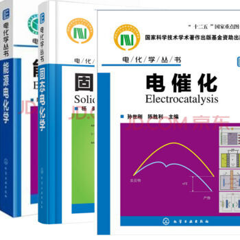 电化学丛书--固态电化学+能源电化学+电催化 pdf epub mobi 下载