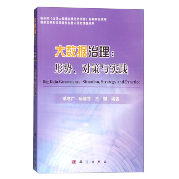 大数据治理：形势、对策与实践 [Big Data Governance:Situation,Strategy and Practice] pdf epub mobi 下载