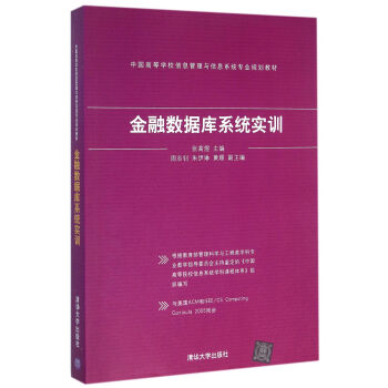 金融數據庫係統實訓 中國高等學校信息管理與信息係統專業規劃教材 pdf epub mobi 下载