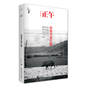 正午2：此地不宜久留 pdf epub mobi 下载